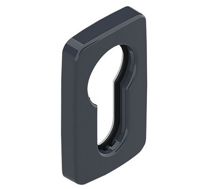 Entrée de cylindre adhésif DS7156